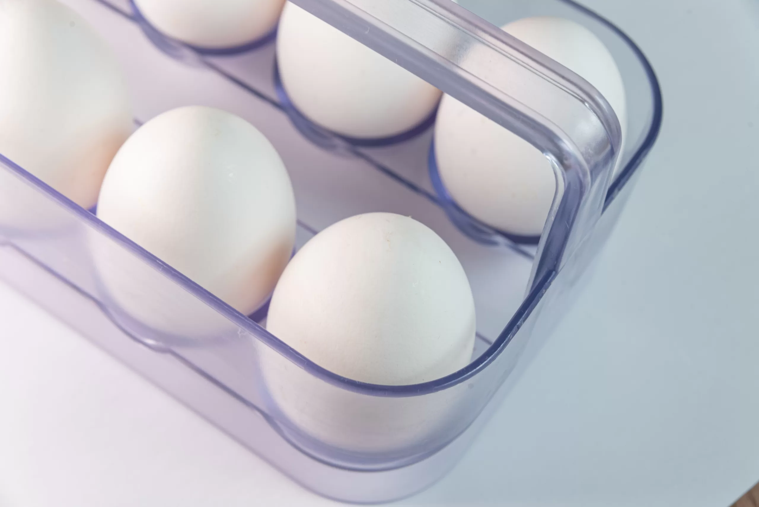 تخزين البيض مدة صلاحية البيض خيرات المائدة بيض بالجملة
